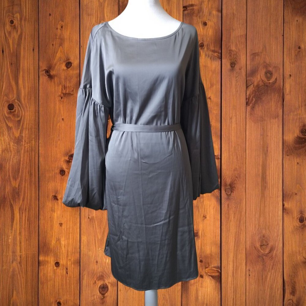 WORTHINGTON Size Medium Tall Shiny Slate Belted Long Puff Sleeve Dress NEW